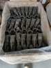 Construction Machinery Parts V29VY for Bucket Teeth 